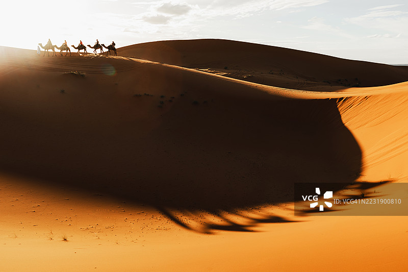 沙丘上的骆驼商队在日落时分的美丽阴影中。图片素材