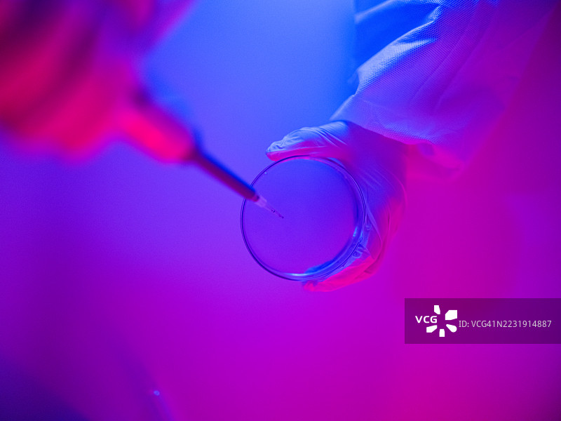 移液管和培养皿的特写镜头图片素材