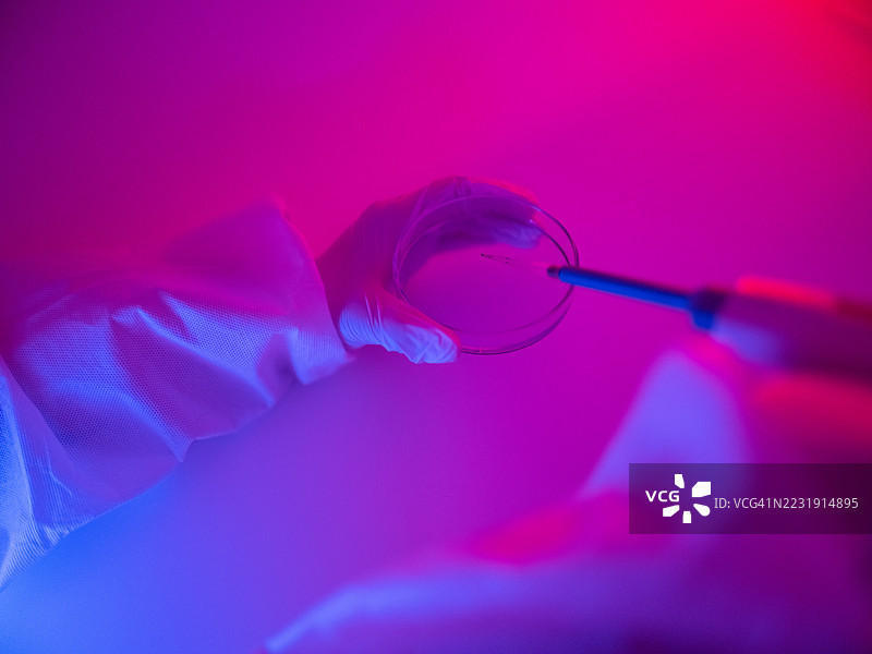 移液管和培养皿的特写镜头图片素材