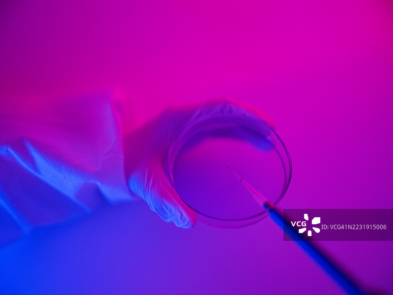 移液管和培养皿的特写镜头图片素材