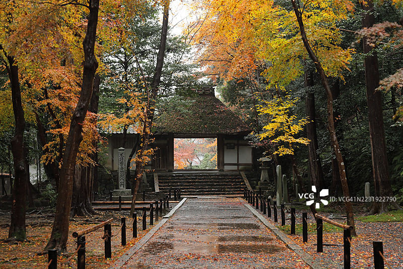 京都，日本的宁静秋景 - 从寒冷的秋雨中走近法然院的老茅草屋顶门的视角图片素材