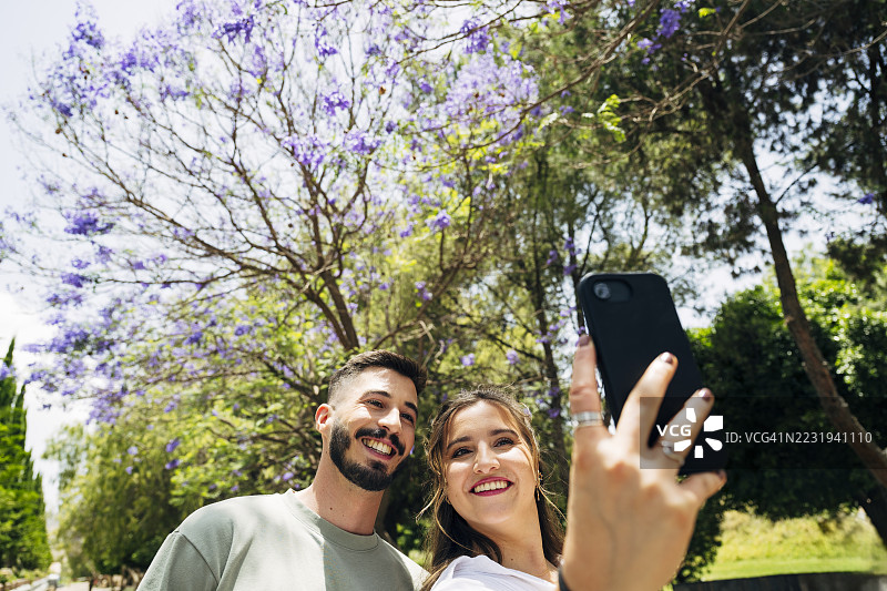 游客情侣在盛开的紫花木兰树下自拍图片素材