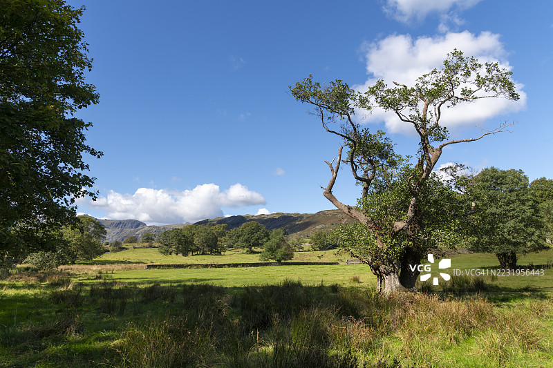 英格兰坎布里亚湖区埃尔特沃特周围的乡村风光图片素材