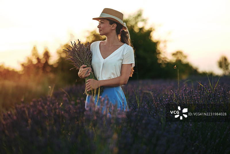 女人在日落时分的薰衣草田中手捧薰衣草花束图片素材