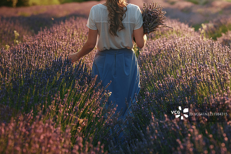 女人在日落时分走过薰衣草田，手中捧着花束图片素材
