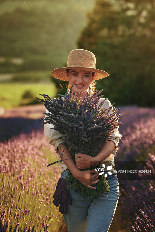 日落时分，女农民在田野中收割薰衣草图片素材