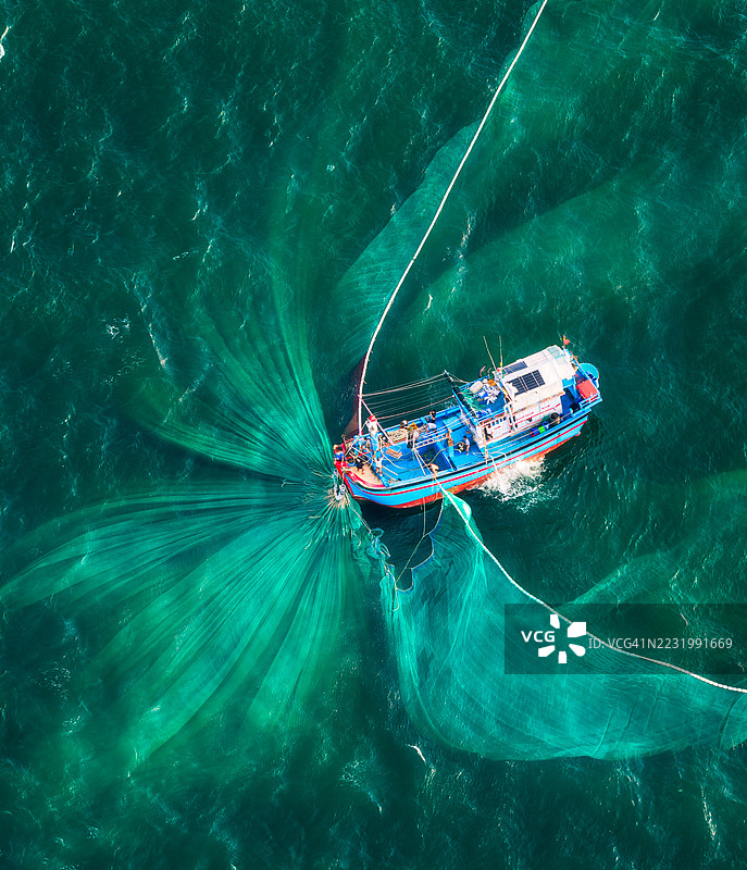 在美奈海域捕捞凤尾鱼图片素材