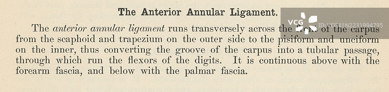 旧版雕刻插图，展示一本人体解剖书中的一页，描述前环状韧带，即肘部环状韧带的前部分，是一条强韧的组织带，连接尺骨并环绕桡骨头。图片素材