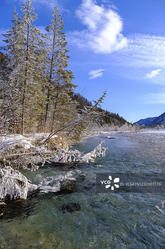 德国巴伐利亚州,上巴伐利亚,托尔策地区,沃尔高与福尔德里斯之间的年轻伊萨河冬季景色图片素材