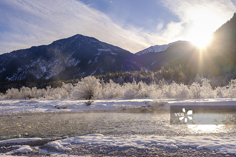 冬季在德国上巴伐利亚州托尔策地区的瓦尔高和福尔德里斯之间的年轻伊萨河森林中的日出图片素材