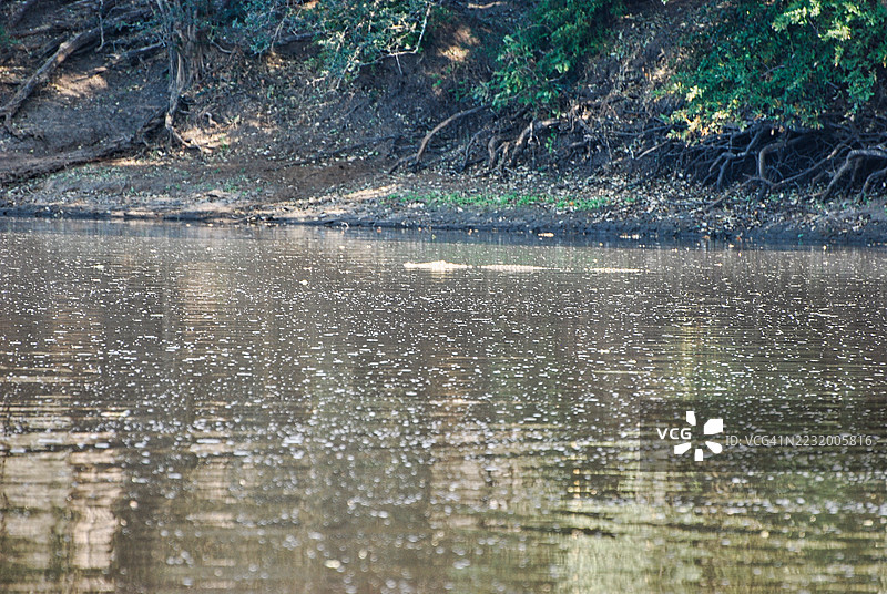 宁静的森林湖泊倒影，马纳波尔，津巴布韦图片素材