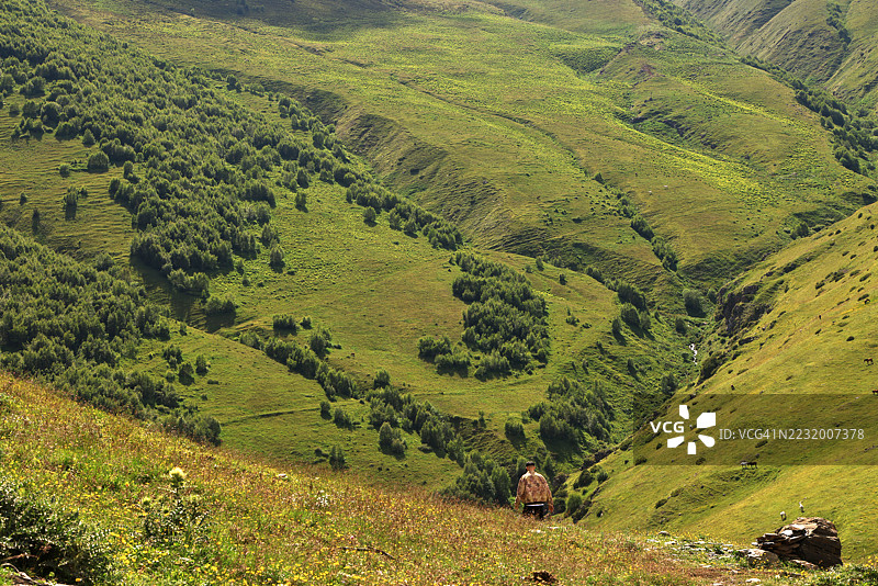 郁郁葱葱的山丘风景，点缀着散落的树木和一位孤独的徒步旅行者图片素材