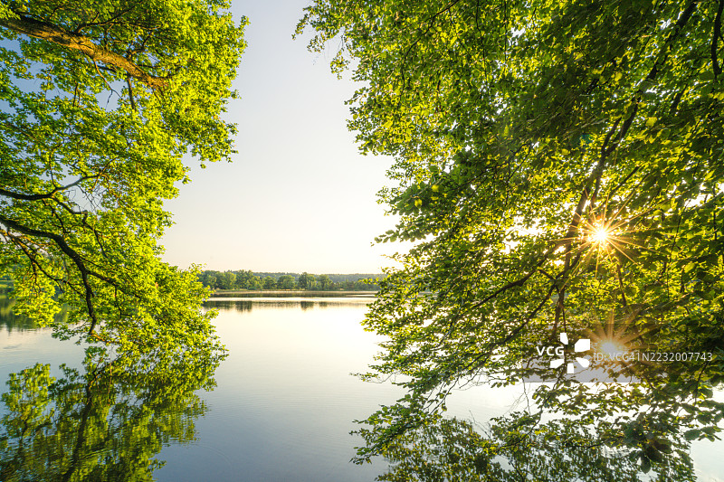 日出时分被郁郁葱葱的绿树环绕的宁静湖泊，瑞士图片素材