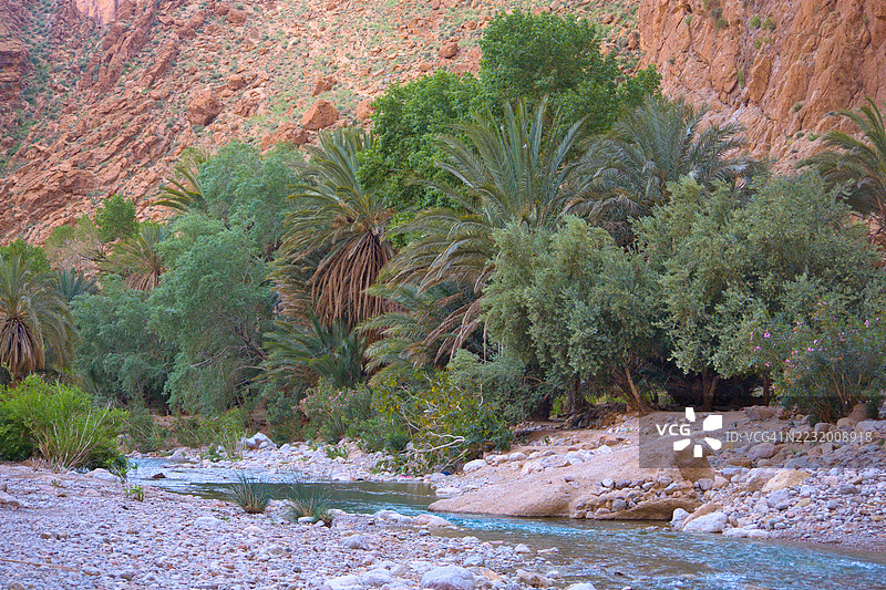 郁郁葱葱的绿植与岩石景观，流淌的小溪，图德哈·埃尔·乌利亚，摩洛哥图片素材