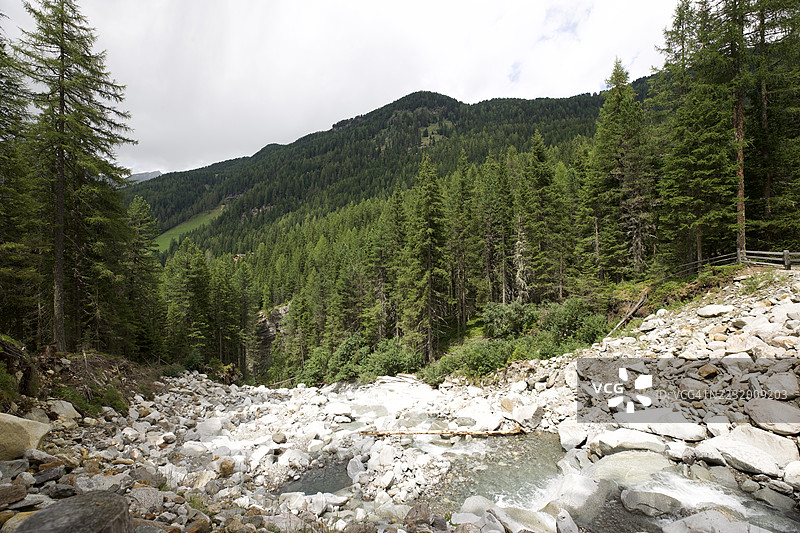 意大利坎波图雷斯的茂密森林中流淌的山间溪流图片素材