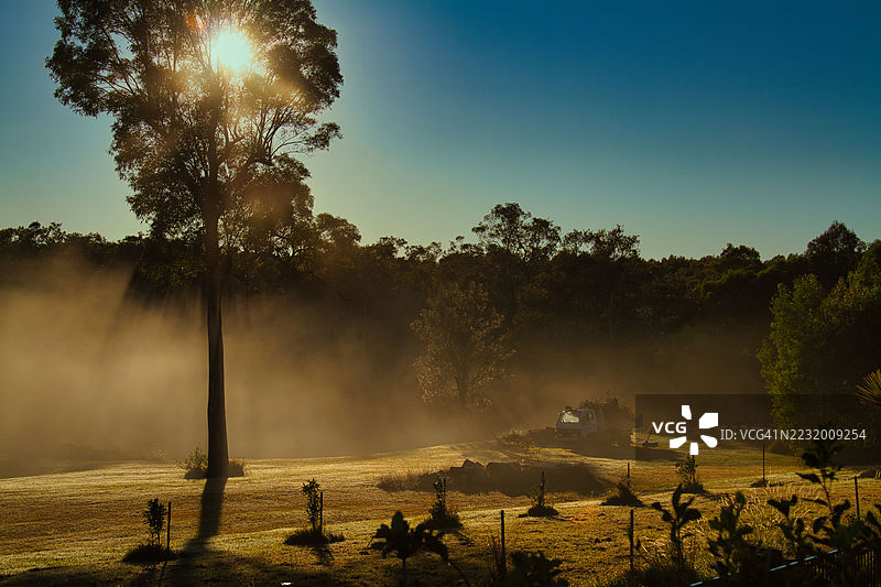 澳大利亚克拉伦斯河谷，薄雾笼罩的日出照耀着林地图片素材