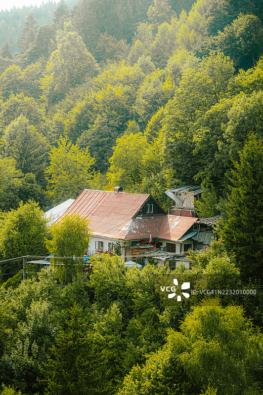 被郁郁葱葱的森林环绕的乡村房屋，斯洛伐克图片素材