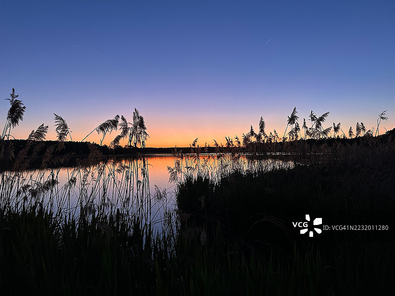 日落时分宁静的湖泊与剪影芦苇图片素材