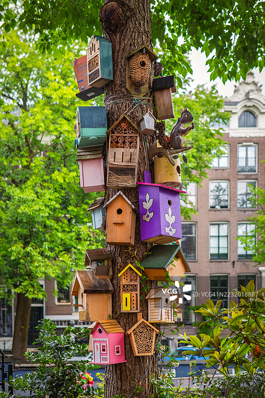 阿姆斯特丹的乔丹区图片素材