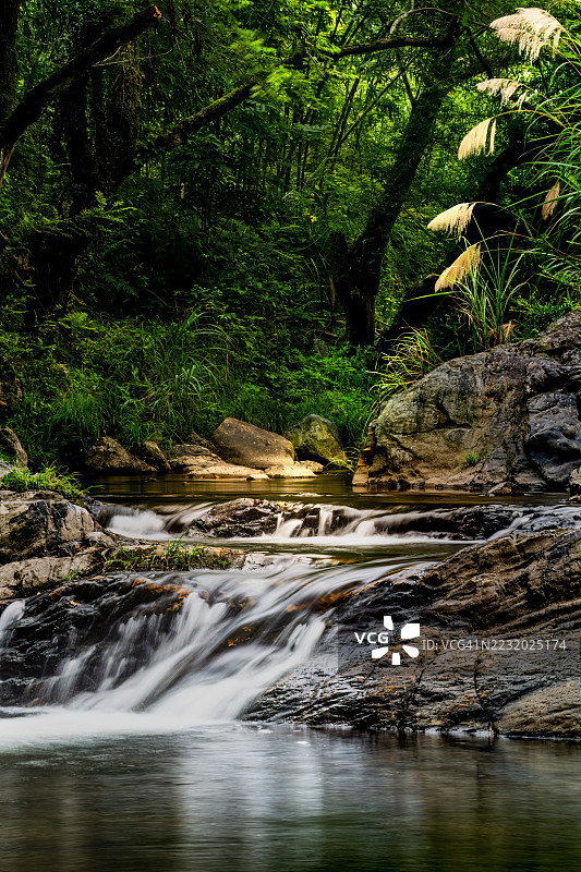 宁静的瀑布流经郁郁葱葱的森林，中国池州图片素材