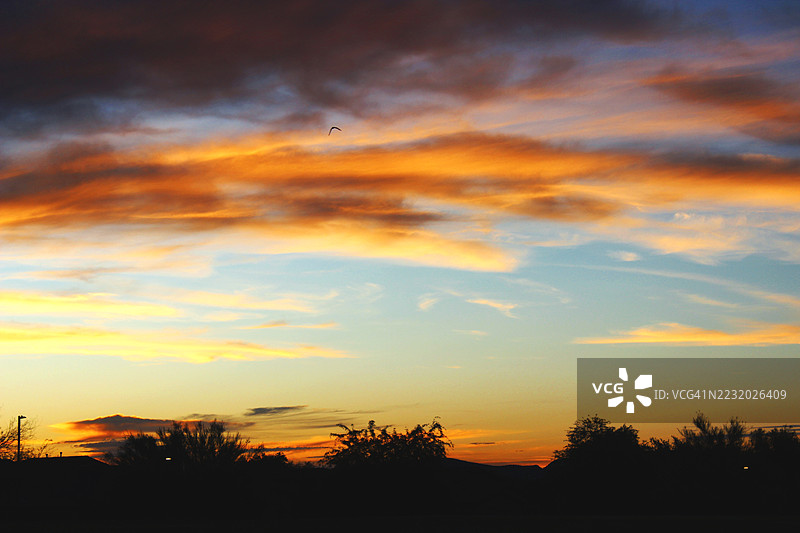 树木的剪影映衬着戏剧性的日落天空，凤凰城，美国图片素材