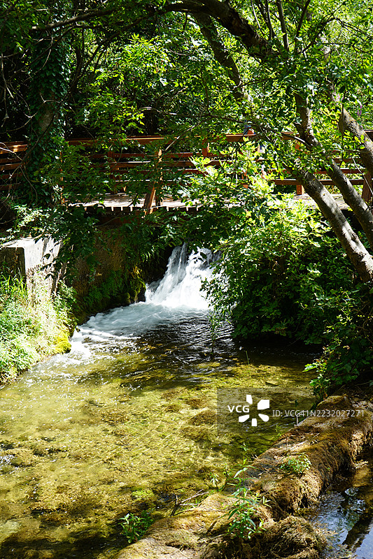 宁静的森林瀑布与木桥图片素材