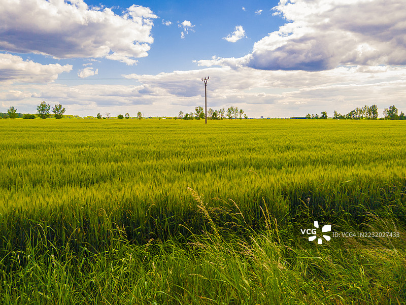 斯洛伐克蓝天下广阔的绿色农业田野图片素材