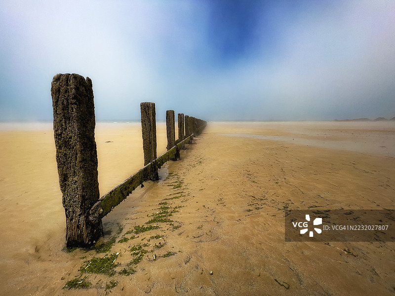 法国雾气弥漫的海滩上的风化木桩图片素材
