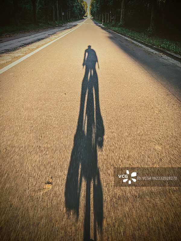 阳光照耀下，树木环绕的道路上骑自行车者的影子图片素材