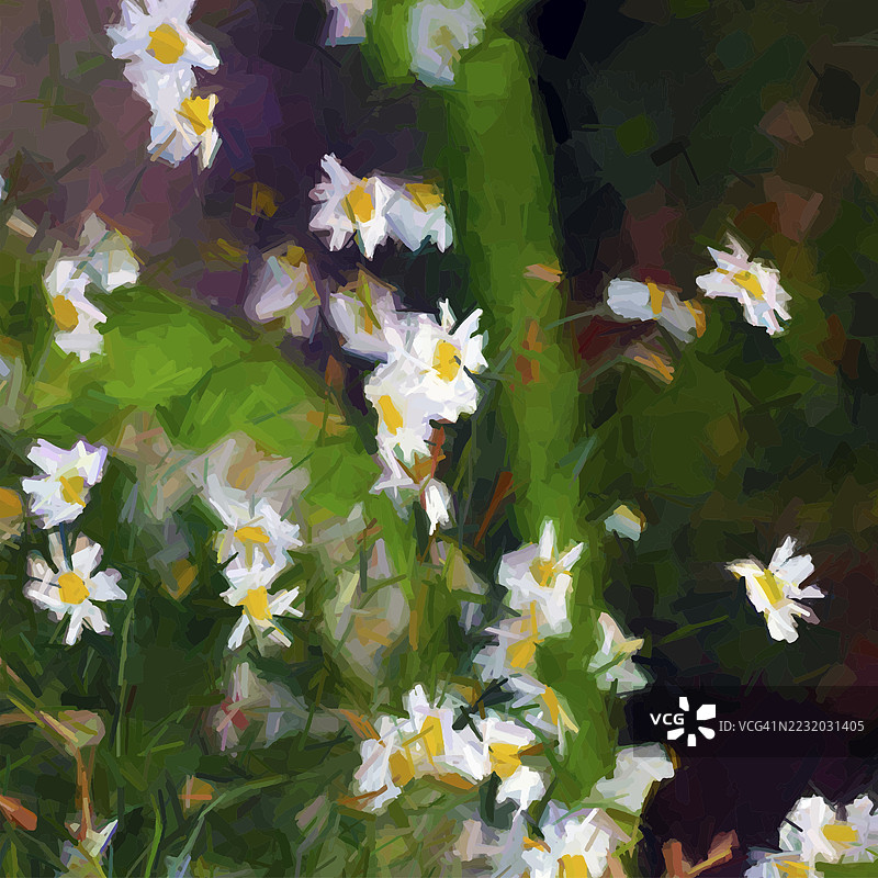 表现力丰富的笔触雏菊背景，矢量抽象艺术图片素材