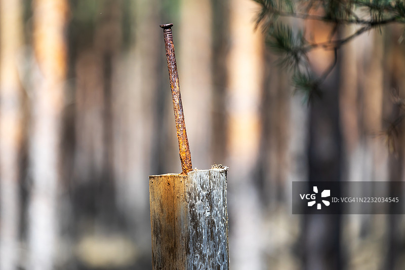 生锈的长钉钉在木桩上图片素材
