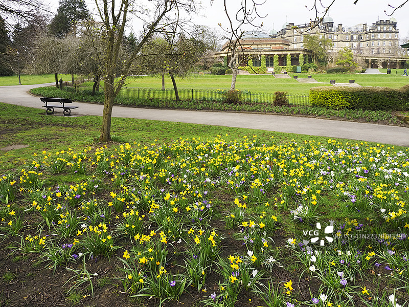哈罗盖特山谷花园的春季花卉图片素材