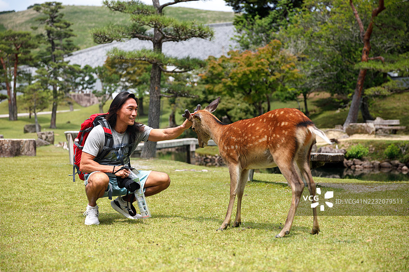 男子在奈良公园抚摸鹿图片素材