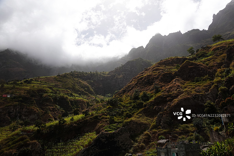 圣安东尼北部保罗谷的郁郁葱葱的绿洲风景图片素材