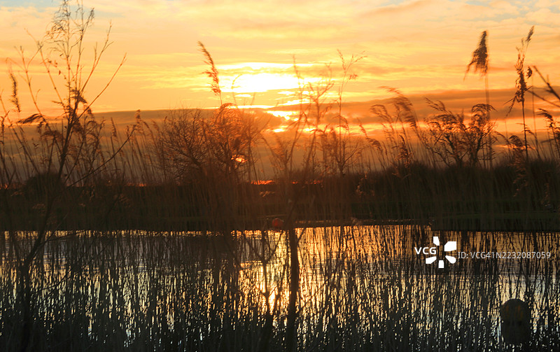 芦苇与瑟恩河，日落，诺福克沼泽图片素材