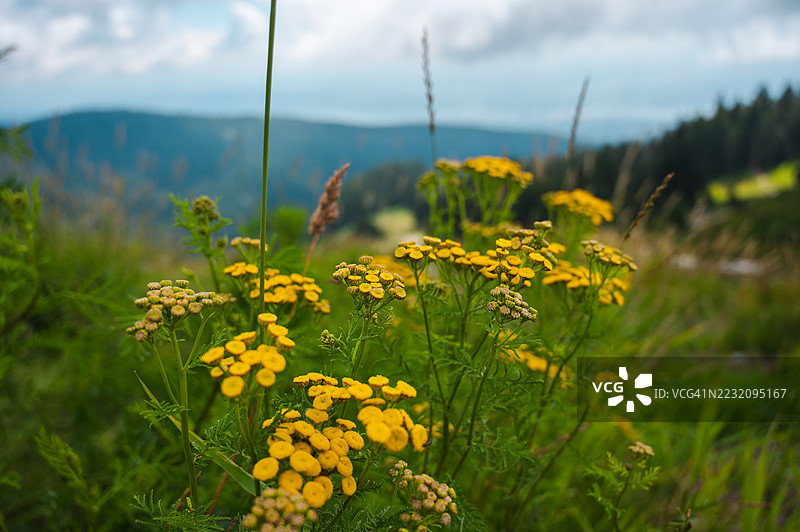 格劳斯山的自然风光图片素材