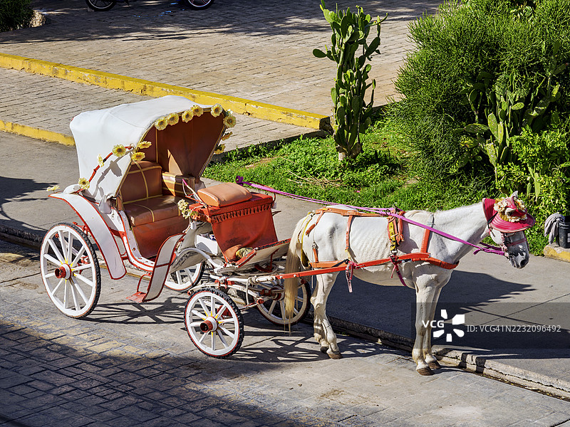 在墨西哥尤卡坦州伊萨马尔的伊察姆纳公园内的马车图片素材