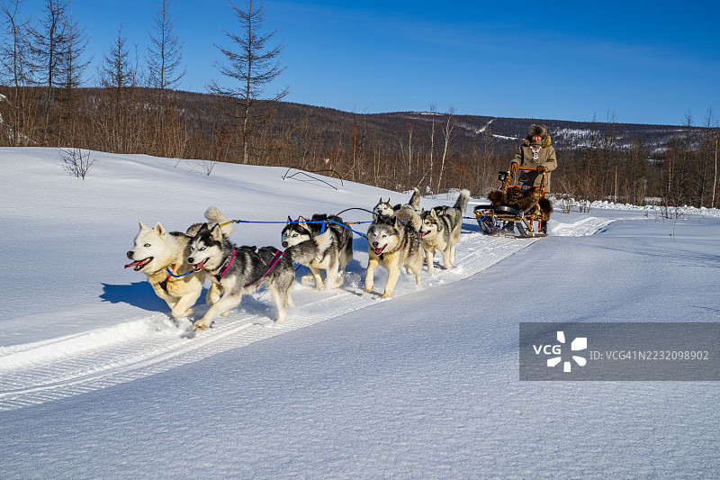 埃文基人在俄罗斯克拉斯诺亚尔斯克边疆区图拉进行狗拉雪橇活动图片素材