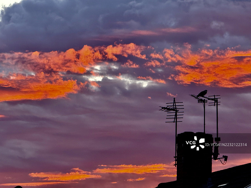 黎明场景 - 红色天空与近距离的雷雨乌云图片素材