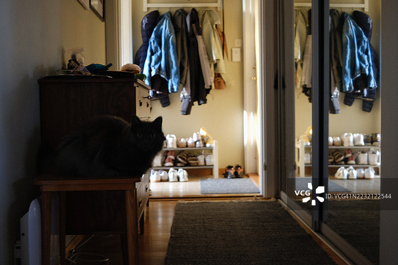 家庭生活的真实场景，公寓的入口部分图片素材