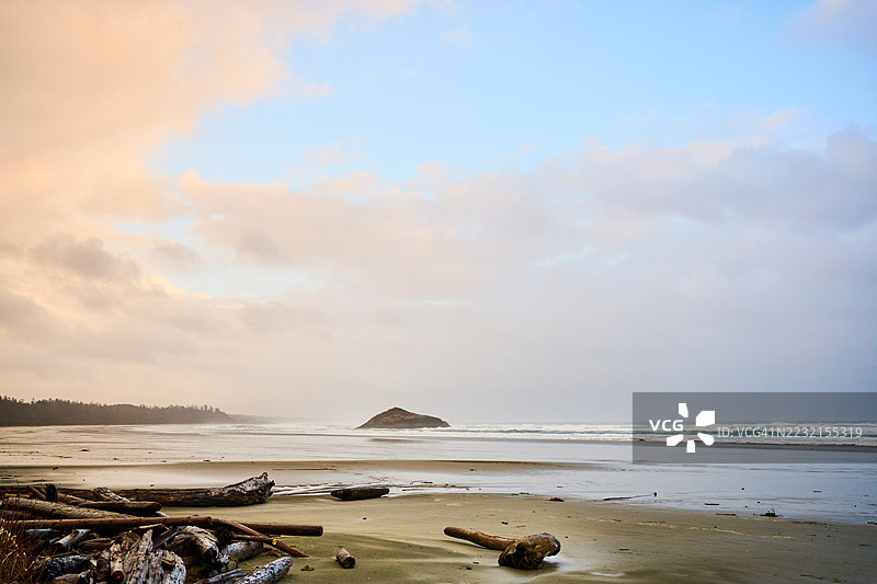 日落时分，温柔的海浪拍打着散落在沙滩上的漂流木图片素材