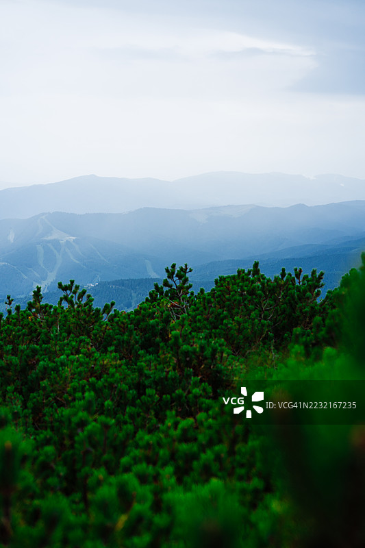 宁静的山脉风景，层层森林覆盖的山丘在雾气弥漫的日子里图片素材