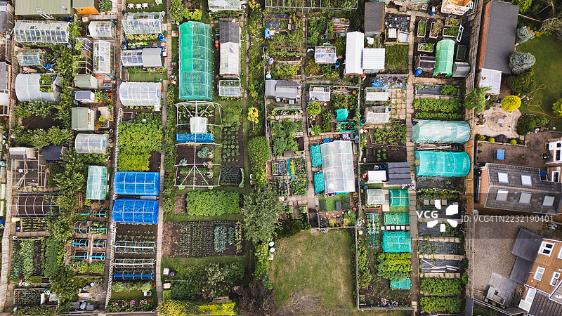 新鲜的夏季配给图片素材