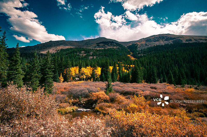 秋季森林景观，有山脉和蓝天，美国格兰特图片素材