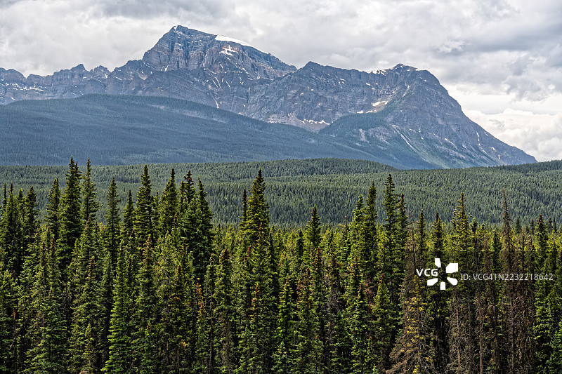 雄伟的山脉风景与松树林，加拿大图片素材