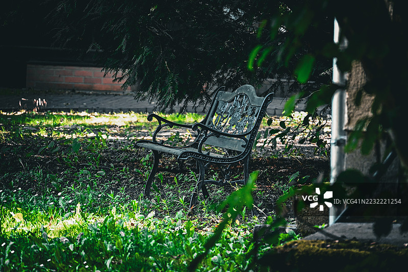 阴凉花园中的空公园长椅图片素材