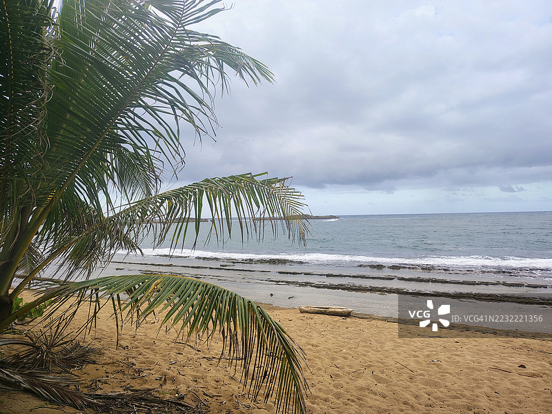 热带海滩，棕榈树与阴云密布的天空图片素材