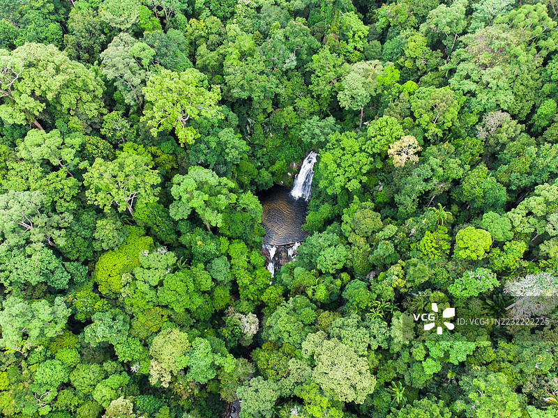 南亚郁郁葱葱的热带森林与瀑布的鸟瞰图图片素材