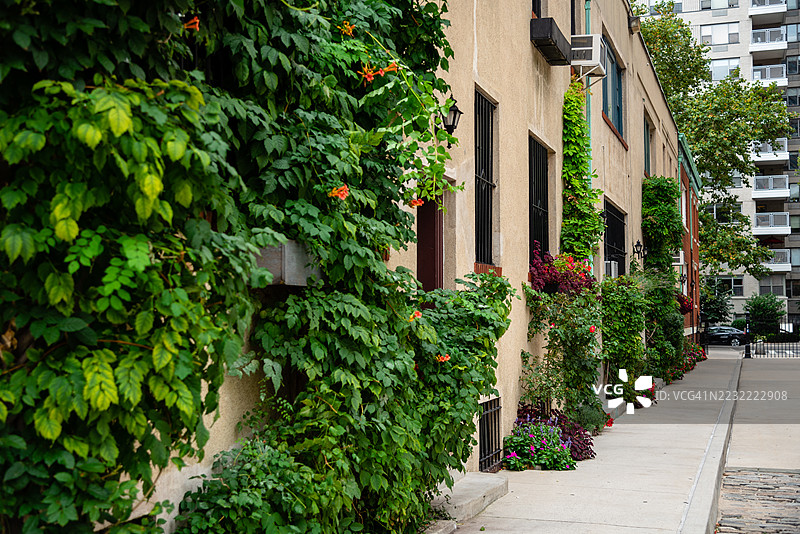 城市人行道上装饰着郁郁葱葱的绿植和鲜艳的花朵，纽约，美国图片素材