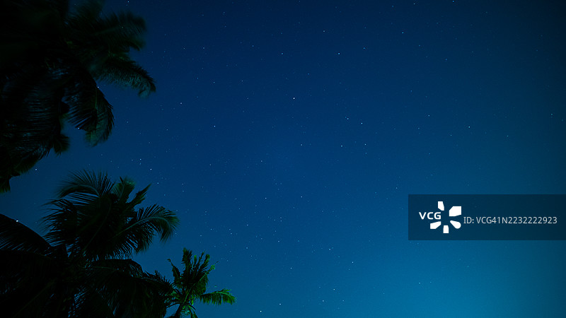 星空下的棕榈树剪影图片素材